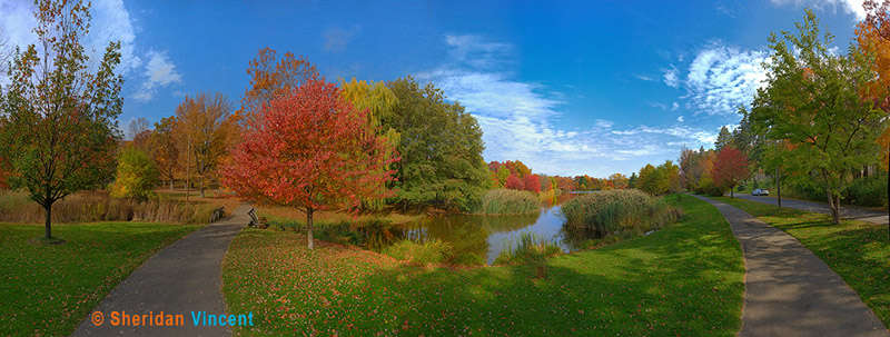 Seneca Park Pond 2012
