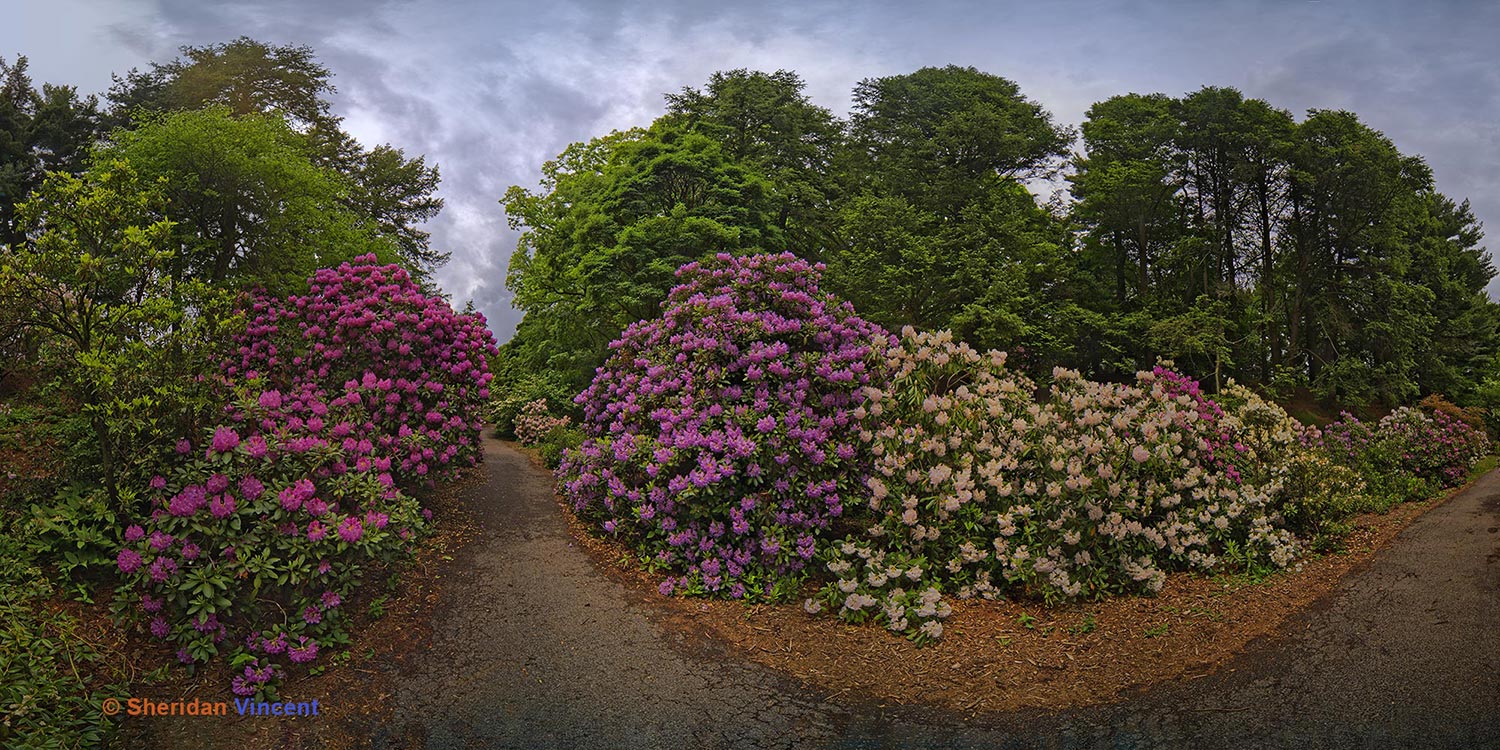 Flora Path at Highland Park